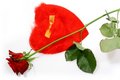 Free Red Rose And Heart Shape Letter Royalty Free Stock Photos - 1865158