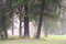Free Russia: Pushkin (Tsarskoe Selo) Stock Photos - 18611273