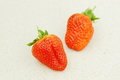 Free Still Life - Strawberries Royalty Free Stock Images - 18664489
