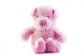 Free Pink Fluffy Pig Royalty Free Stock Photos - 18666568