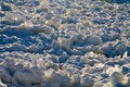 Free Backlit Snow Stock Photo - 1873410