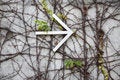 Free Directional Arrow Sign Stock Photography - 1875812