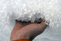 Free Crumbly Snow Called Surface Hoar Stock Photo - 1876080