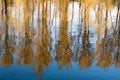 Free Water Reflection Royalty Free Stock Photo - 18713205