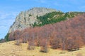 Free Stone Cliff With Brown Forest Stock Photo - 18720600