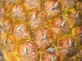 Free Ananas01 Royalty Free Stock Image - 1881876