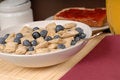 Free Wheat Cereal With Blueberries, Toast And Orange Juice Stock Photo - 1883830