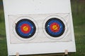 Free Target Stock Image - 1886601