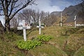 Free Graveyard Royalty Free Stock Images - 1890059