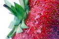 Free Strawberry. Macro Royalty Free Stock Photography - 1890617