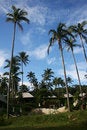 Free Tropical Resort Stock Image - 1893771