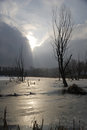 Free Frozen Pond Stock Images - 1894794