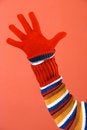 Free Colorful Sweater And Glove Royalty Free Stock Photos - 1898438