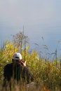 Free Photographer In Bushes Stock Photography - 1899112