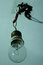 Free Light Bulb Hanging From Bare Wires Royalty Free Stock Images - 1893519