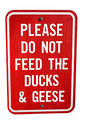 Free Please Don T Feed The Ducks! Stock Photos - 190833