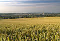 Free Industrial Wheat Stock Photography - 194722