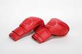 Free Box Gloves Royalty Free Stock Image - 196976