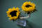 Free Sunflowers In Vase Royalty Free Stock Images - 198699
