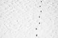 Free Snow Tracks Royalty Free Stock Images - 1902639