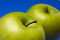 Free Appetizing Apples Royalty Free Stock Photography - 1909947