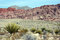 Free Desert Road And Scene Stock Image - 1909461