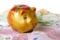 Free Rich Pig Royalty Free Stock Photos - 1914588