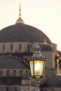 Free Blue Mosque Royalty Free Stock Photos - 1915978
