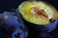 Free Dark Blue Ripe Fleshy Plums Stock Photography - 1919122