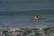 Free Woman Paddling To Catch A Wave While Surfing Royalty Free Stock Image - 1911036