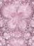 Free Symmetrical Purple Pink Flower Stock Photo - 1916890