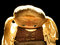 Free Old Sad Cloth Doll With Spot Light 3 Royalty Free Stock Photography - 1917607