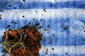 Free Rust, Corrugated Steel Abstract Stock Photo - 1921310