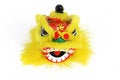 Free Lion Head Front View Isolated Over White Stock Images - 1922754