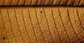 Free Leaf Structure Royalty Free Stock Photography - 1928397
