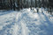 Free Ski-track Royalty Free Stock Photo - 1923645