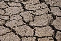 Free Dry Cracked Riverbed Royalty Free Stock Photography - 19268377