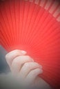 Free Romantic Female Hand Stock Images - 1949374