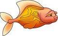 Free Nice Golden Fish Stock Images - 1950324