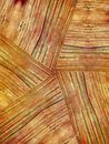 Free Natural Wood Grain Texture Stock Image - 1951611