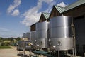 Free Winemaking Royalty Free Stock Photography - 1952457