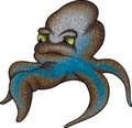 Free Octopus 04 Stock Photo - 1954180