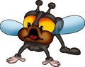 Free Little Fly 04 Royalty Free Stock Images - 1954529