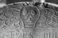 Free Skull With Wings Detail Royalty Free Stock Photography - 1959847