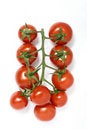 Free Tomatoes Royalty Free Stock Images - 19570859