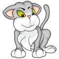 Free Cat Darling Stock Photos - 1960633