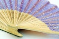 Free Fan Stock Image - 1960851