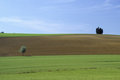 Free Tuscany Landscape Stock Photos - 1961133