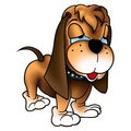 Free Dog With Long Ears Royalty Free Stock Photography - 1969077