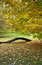 Free Fall Leaves At Hyde Park Royalty Free Stock Photos - 1963778